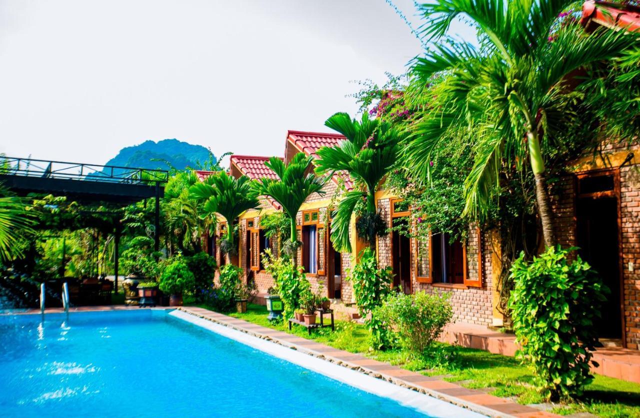 Hillside View Bungalow Homestay Phong Nha Eksteriør bilde