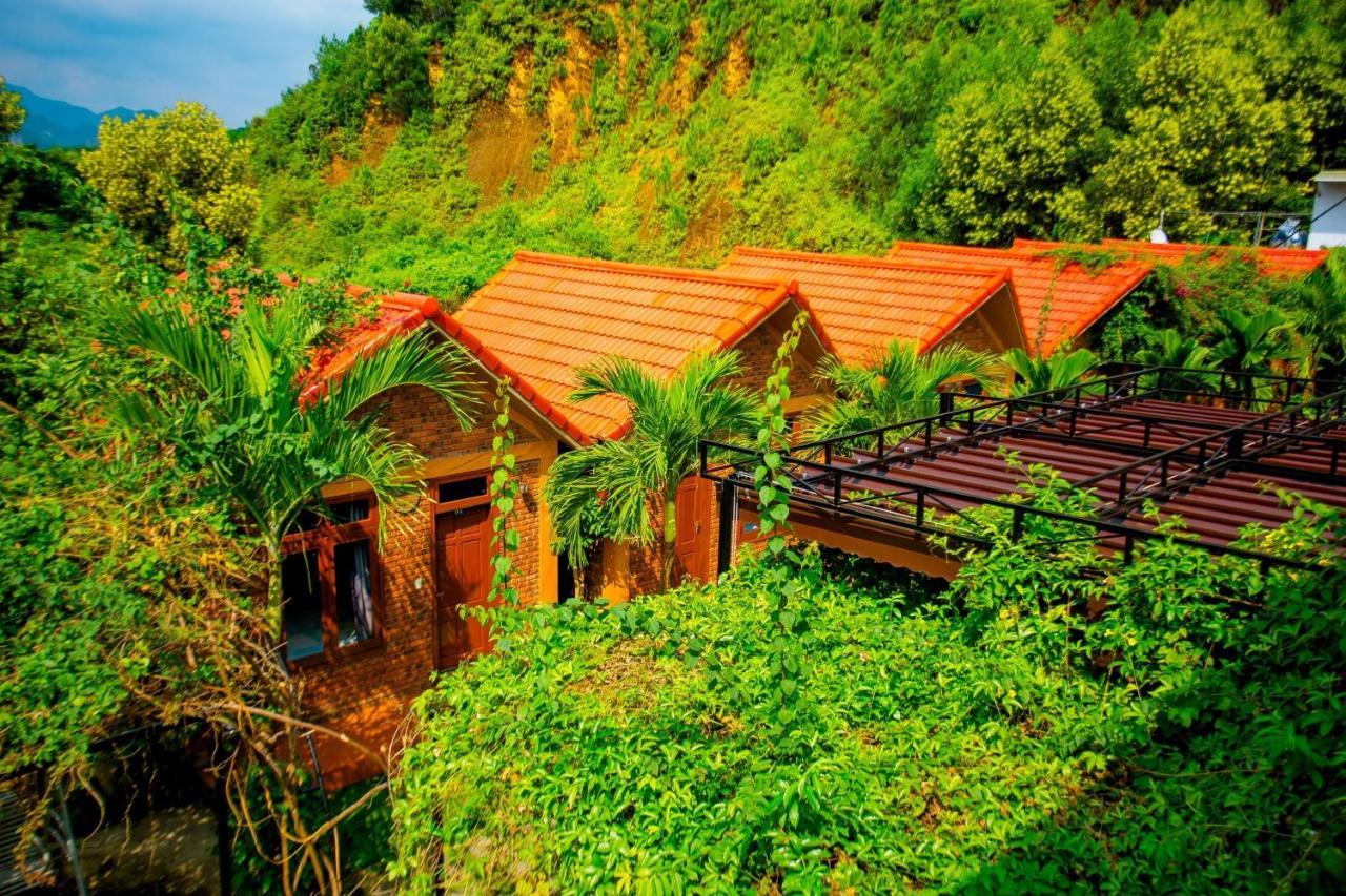 Hillside View Bungalow Homestay Phong Nha Eksteriør bilde